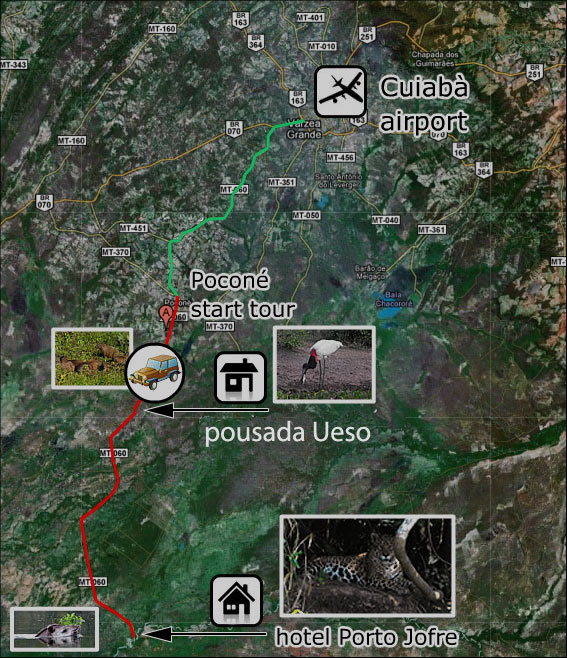 Pantanal_Tour1